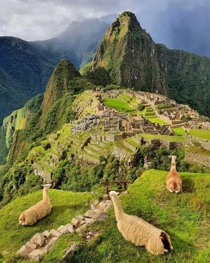 machu picchu.