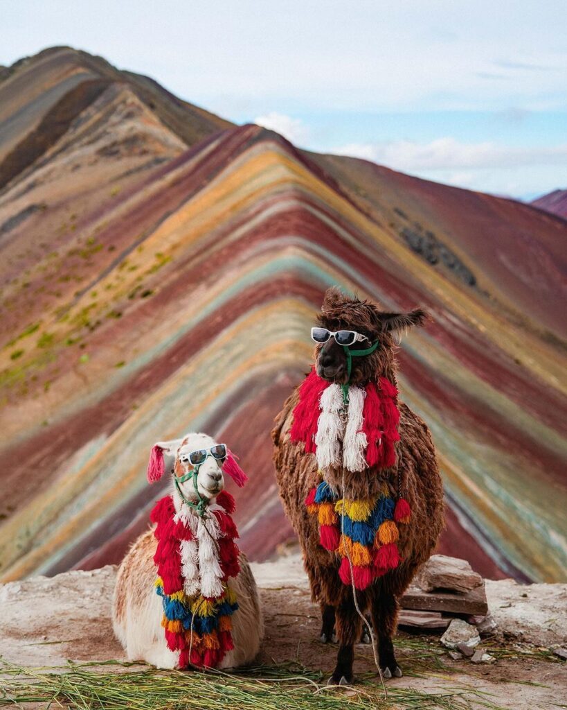 montaña 7 colores-cusco